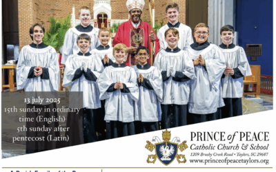 13 July 2025 Bulletin